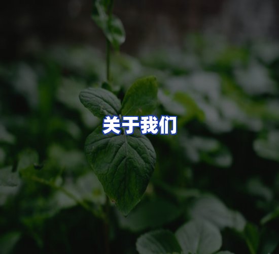 公司总部